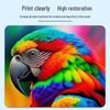 Official Printer Head Cleaning Fluid - Strong and Effective for Unclogging Ink