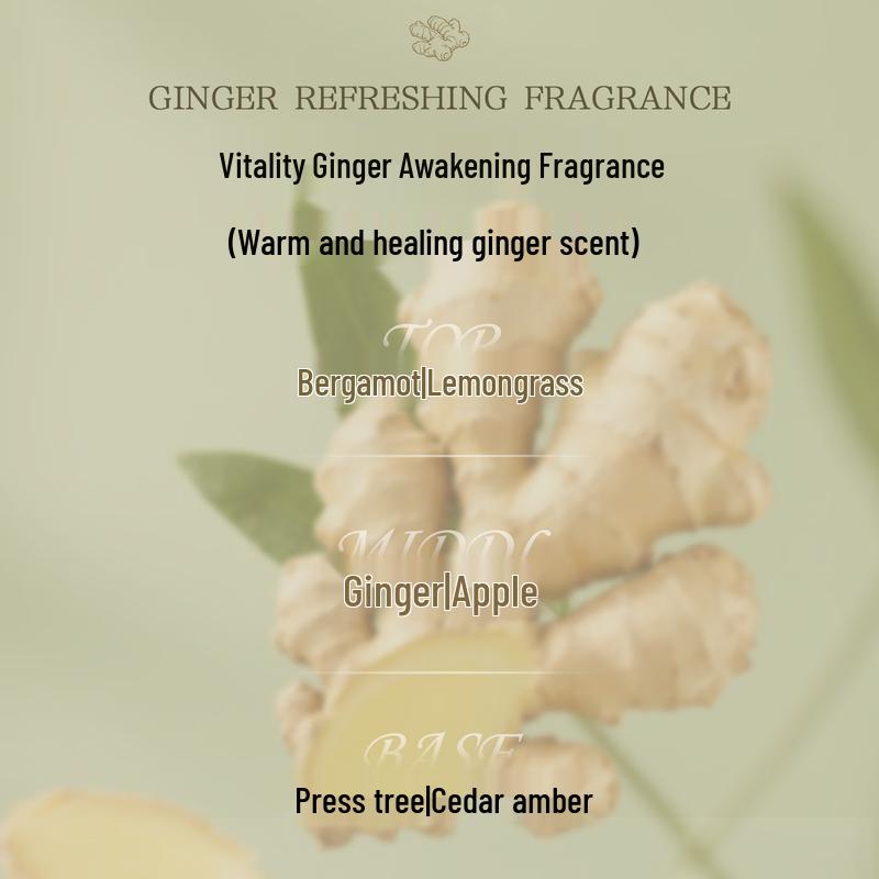 Японский импортный шампунь для волос AnZhili 500 мл