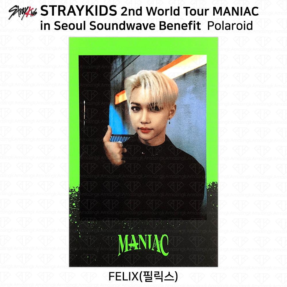 Stray Kids 2-й мировой тур MANIAC в Сеуле Фотокарточка Polaroid KPOP K-POP