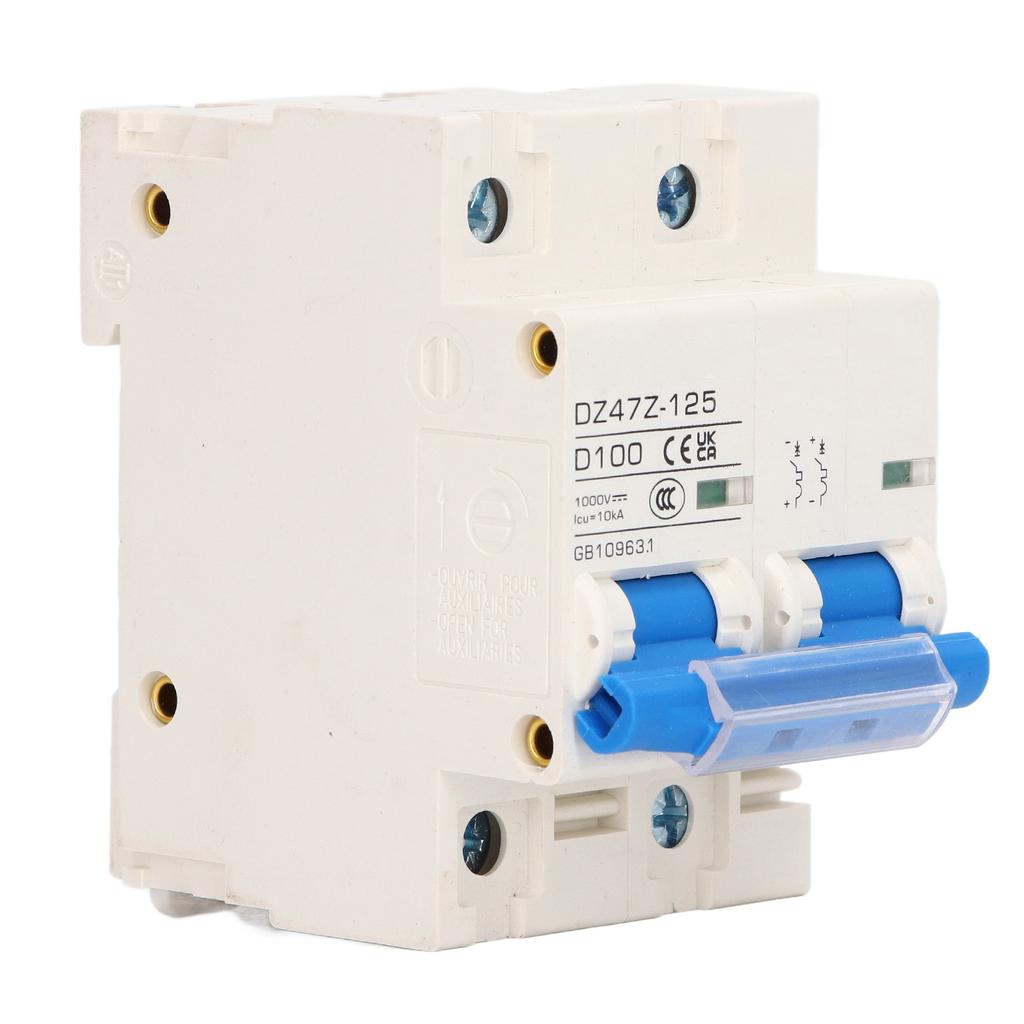 Circuit Breaker 2P D 47 125 100A DIN Rail ature Circuit Breaker for Solar PV System 1000V
