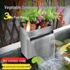 Fish Pond Water Filtration and Circulation System