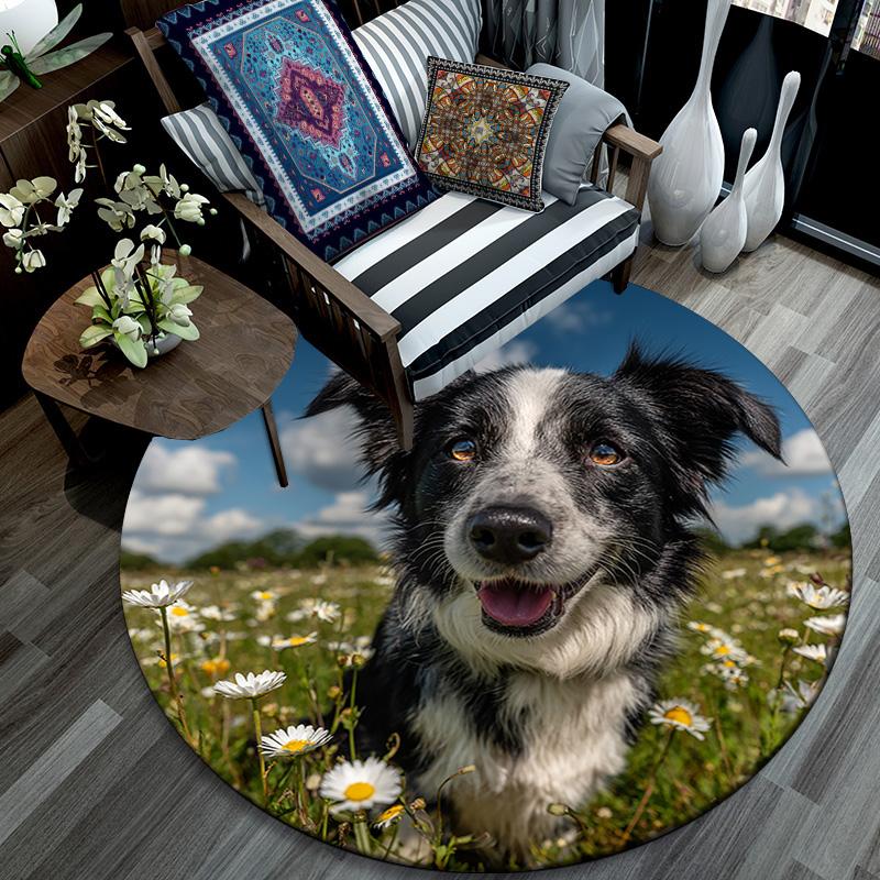 Happy Border Collie Round Area Rug,Carpet Rug for Living Room Bedroom Sofa Playroom Decor,Non-slip Floor Mat