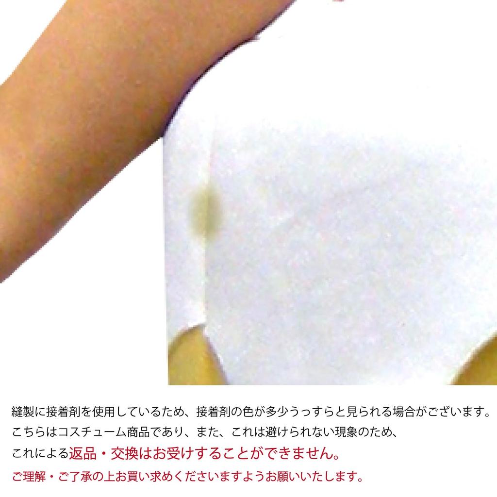 SAZAC Costume Cake Adult Free Size 2738