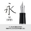 Pilot Перьевая ручка Custom Heritage SE, средний стержень, мраморно-синяя с черным, 14K золото, (M), Наконечник, FKVH3MRMALM, Перо.