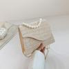 Chic Minimalist Pearl Bag Elegant Fashionable Handbag Stylish Shoulder Crossbody Purse