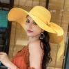 Seaside Resort Straw Hat Women's Big Brim Sun Protection Hat Foldable Bow Beach Hat UV Protection Hat Versatile Versatile