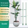 Thickened Garden Plant Support Stake
