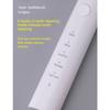 Electric Toothbrushes - Electric Toothbrush for Adults and Kids, American Dental Association Accepted, Rechargeable Travel Sonic,B
