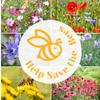 Help Save the Bees Seeds Set / 20 Set Nectar-rich Plants / Bee-friendly Set / Flowers / Pollen / 100g