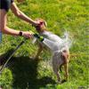 1 PC High Pressure Spray Nozzle Hose Dog Shower Gun Adjustable Pet Cleaning Cleaning Dog Cleaning Tools  