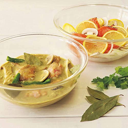 Hario MXPA-250-BK Heat Resistant Glass Shallow Bow