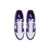 Nike Dunk Low Championship Purple Men Sneakers White Court-Purple DD1391-104