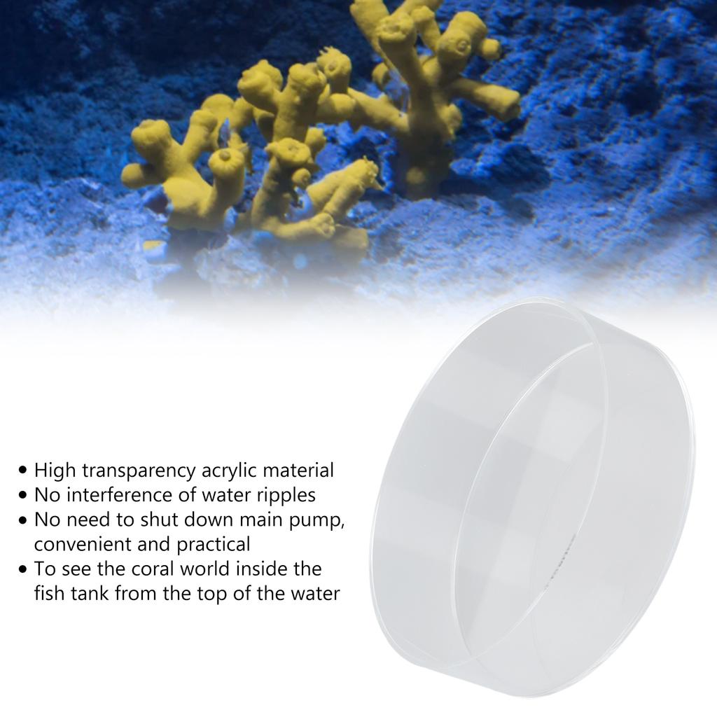 Coral Observe Lense Transparent Acrylic Fish   Cylinder Magnifier for Viewing Coral and Taking Pictures