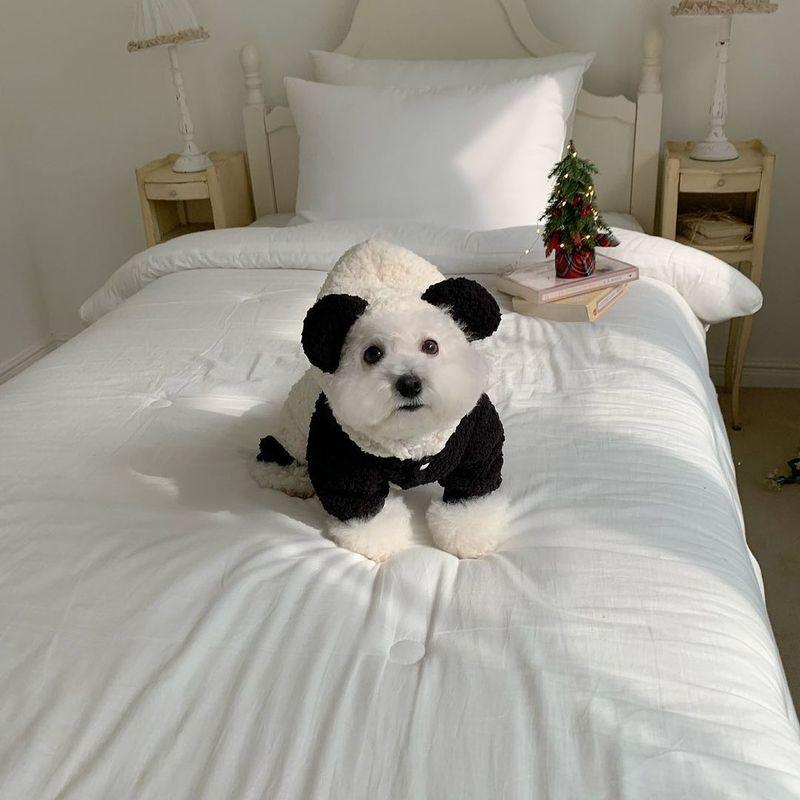 New Autumn Winter Panda Dog Cat Clothes, Warm Padded Coat, Puppy Costume for Small Medium Dogs, Poodle, Yorkie