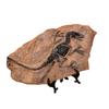 Handcrafts Dinosaur Fossils Model Simulated Dinosaur Skeleton Resins Statue Figurine for Home Decors and Educational Use