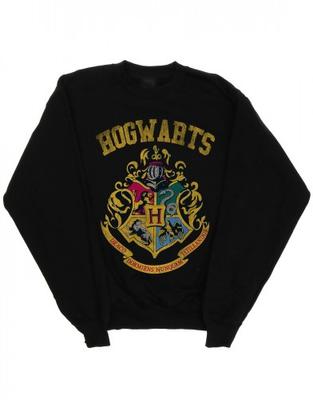 Мужская толстовка Hogwarts Varsity