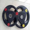 Xi Lu Rubber Coated Cast Iron Barbell Plate