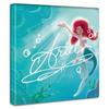 Художественная панель Disney Princess 30 см x 30 см Сделано в Японии Постер Стильный интерьерный макияж Гостиная Знак Ариэль Морская тканевая панель dsn-0296