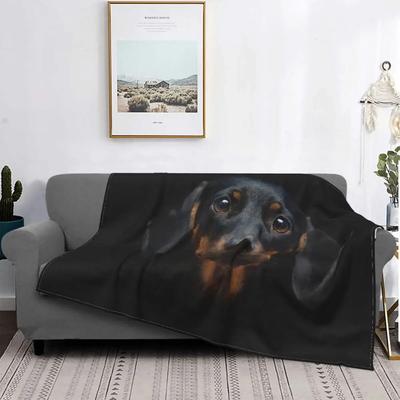 Одеяла для собак таксы, бархатные одеяла с колбасой Doxie, многофункциональные супер теплые пледы для домашнего дивана, покрывало