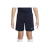 Dri-FIT Academy 23 Printed Logo Mid-Rise Loose Kids Shorts Kids Shorts Obsidian DX5476-451