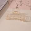 8.5CM x 10.5CM Rectangular Matte PS Hair Clip - Simple Shark Hair Accessory