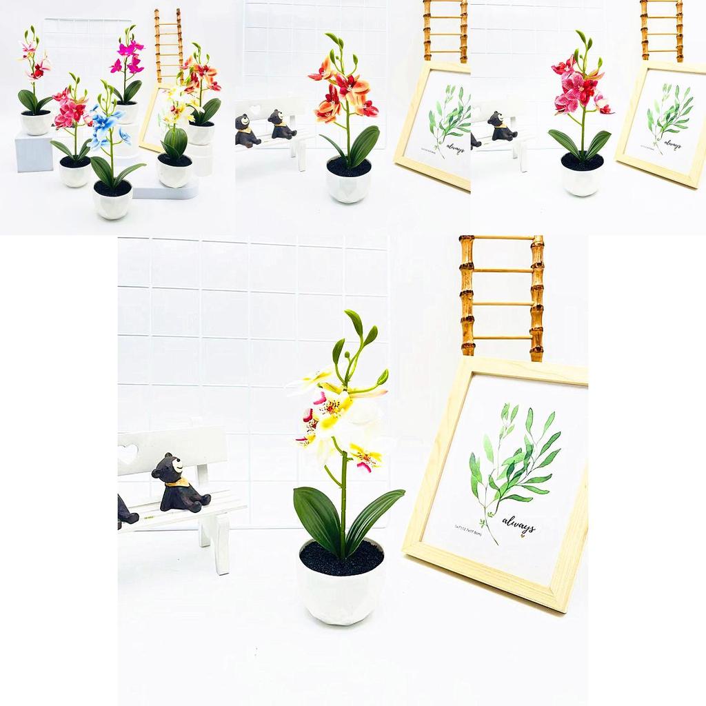 Simulated Phalaenopsis Potted Artificial Artificial Flower For Wedding Decor And Artistic Photography