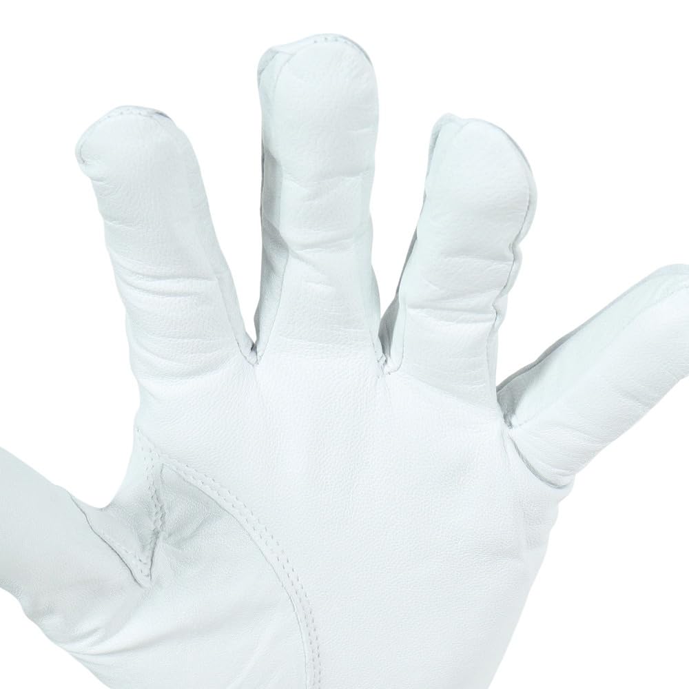 Titleist Professional Golf Glove TG73WT-22 WT White Left Hand 22cm