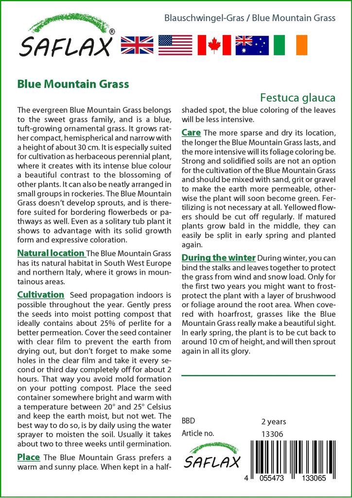 SAFLAX Голубая горная трава - 50 семян - Festuca glauca