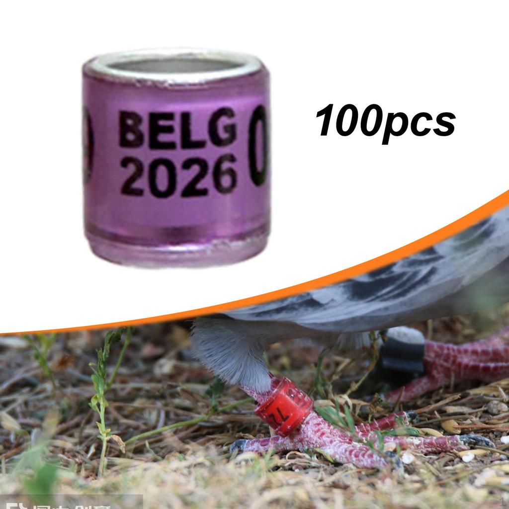 100 Алюминиевых идентификационных колец для голубей, горлиц, канареек, неразлучников и перепелов (2026).