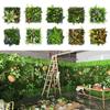 25*25cm Simulation Turf Sheet Green Fake Green Grass Mat Garden Grass Wall  Home Decoration
