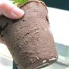 100Pcs Sowing Growing Biodegradable Planter Grow Bag Nursery Pots Seedlings Container Flower Pot