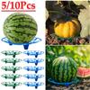 5/10Pcs Watermelon Cradle Anti-Corrosion Pumpkin Support Tray Watermelon Support Holder for Watermelons Pumpkins Melons Squash