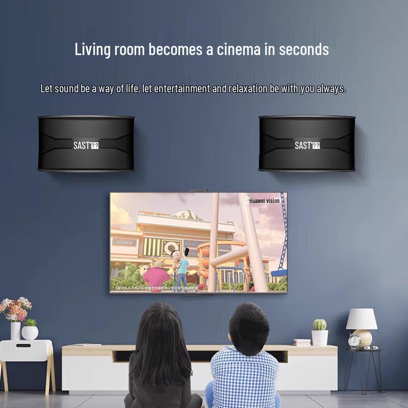 Профессиональные пассивные акустические системы SAST для KTV и конференций