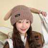 Puppy Ears Knitted Baotou Hat Female Winter Cute Plush Windproof Warm Ear Protection Knitted Hat