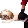 Gant de Toilettage - SSStancy - 1 pcs - Doux et Efficace - Caoutchouc de Silicone - Pour Chien