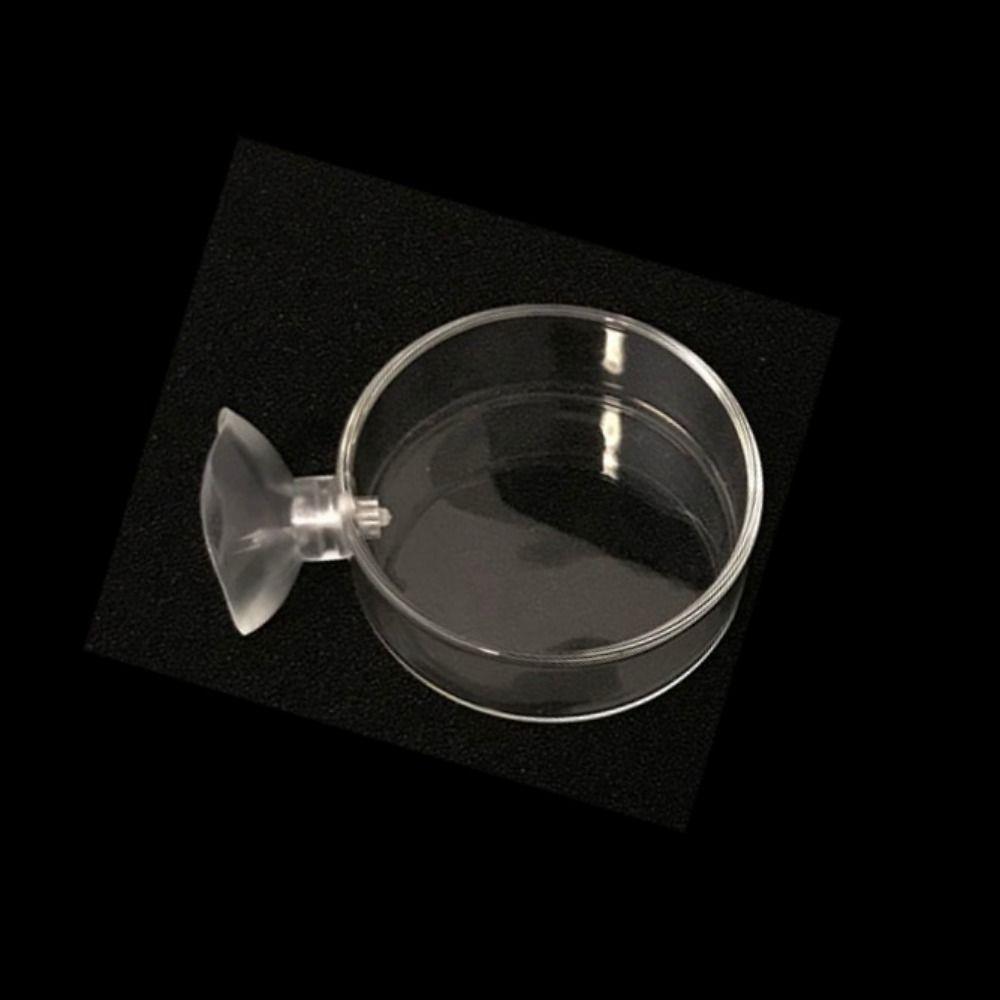 Аквариумные аксессуары Прозрачная коробка для корма для креветок Тарелка для кормления рыб Кормушка для креветок Миска для кормления рыб