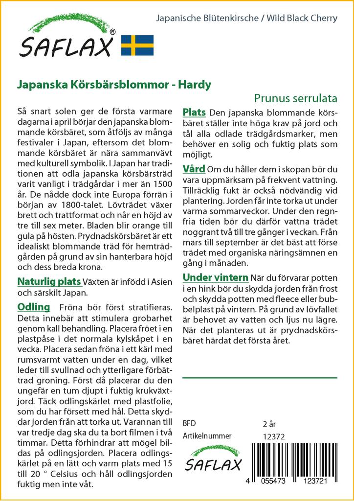 SAFLAX Wild Black Cherry - 30 семян - С горшечным субстратом для лучшего выращивания - Prunus serrulata
