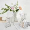 Glass Transparent Flower Vase Creative Designed Hydroponics Plants Pot Fresh Flowers Arrangement Bottle Table Desktop Ornaments