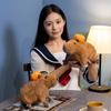Cute Simulation Capybara Plush Toy Stuffed Animals Capibara With Orange Kapibala Soft Doll Kids Toys Birthday Christmas Gift