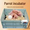 Инкубатор для птенцов попугая с грелкой для высиживания птенцов пиона
