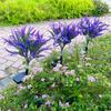 Xiaomi Solar Lavender Butterfly Lights Solar Flower Lights Outdoor Waterproof Decoration Yard Patio Pathway Lawn Courtyard Decoration
