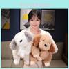 Plush Puppy Toy Cute Cartoon Dog Stuffed Animal Doll Room Decoration Gift Kids