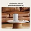 Xiaomi Smart AI Speaker