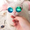 Kitten Grooming Dog Cat Glasses Dress Up Pet Eye Protection Glasses Cute Cat Sunglasses