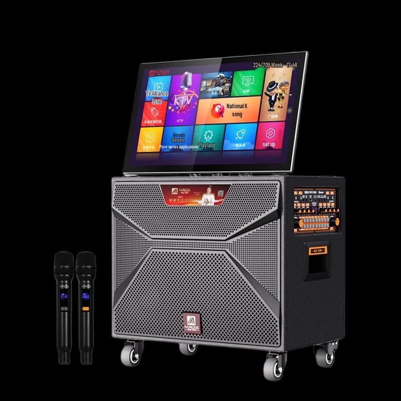 MALONE Portable Karaoke Speaker with 19-inch Display CN plug (adapter included) (CN version)