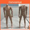 Male 16 Scale Nude Body Muscular Mans Action Figure For Tc Dragon Soldier Toy