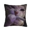 Домашний Декор Мяу Кошка Сова Мем Наволочка Аксессуары Чехол на Подушку Квадратный Разные Размеры