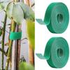 12/15/20/25мм Садовый ремешок для растений Ремешок для фиксации растений Ремешок для веток леса Линия для обмотки Садовый инструмент для растений Принадлежности