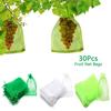 Сетчатый мешок на шнурке для защиты от насекомых, мешки-сетки для фруктов, мешок для защиты растений, мешки-каверы для растений