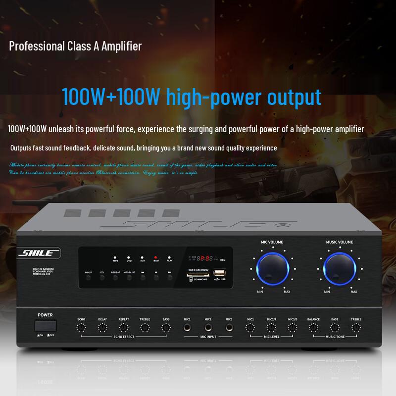 SHILE AV108 Professional Conference Room Audio System CN plug (adapter included)